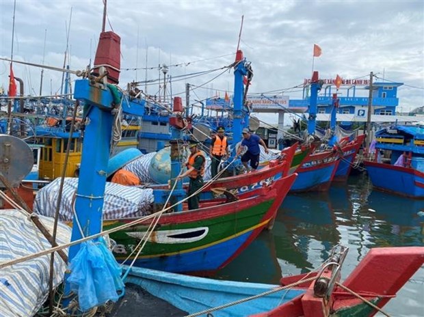 Ngư dân tỉnh Quảng Ngãi hối hả đưa tàu vươn khơi sau bão-1