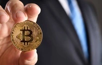 80% triệu phú Bitcoin biến mất khỏi thị trường tiền số-cover-img