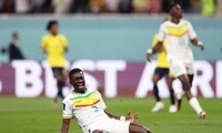 Trực tiếp World Cup 2022 Ecuador vs Senegal 0-0 (H1): Senegal suýt có bàn mở tỷ số-cover-img