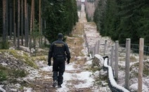 Phần Lan xây hàng rào biên giới với Nga, gắn camera, đèn và loa-cover-img