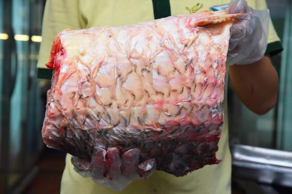 Cá sọc dưa - Loài cá sống tới 50 năm mang theo hương vị của Tây Nguyên-7