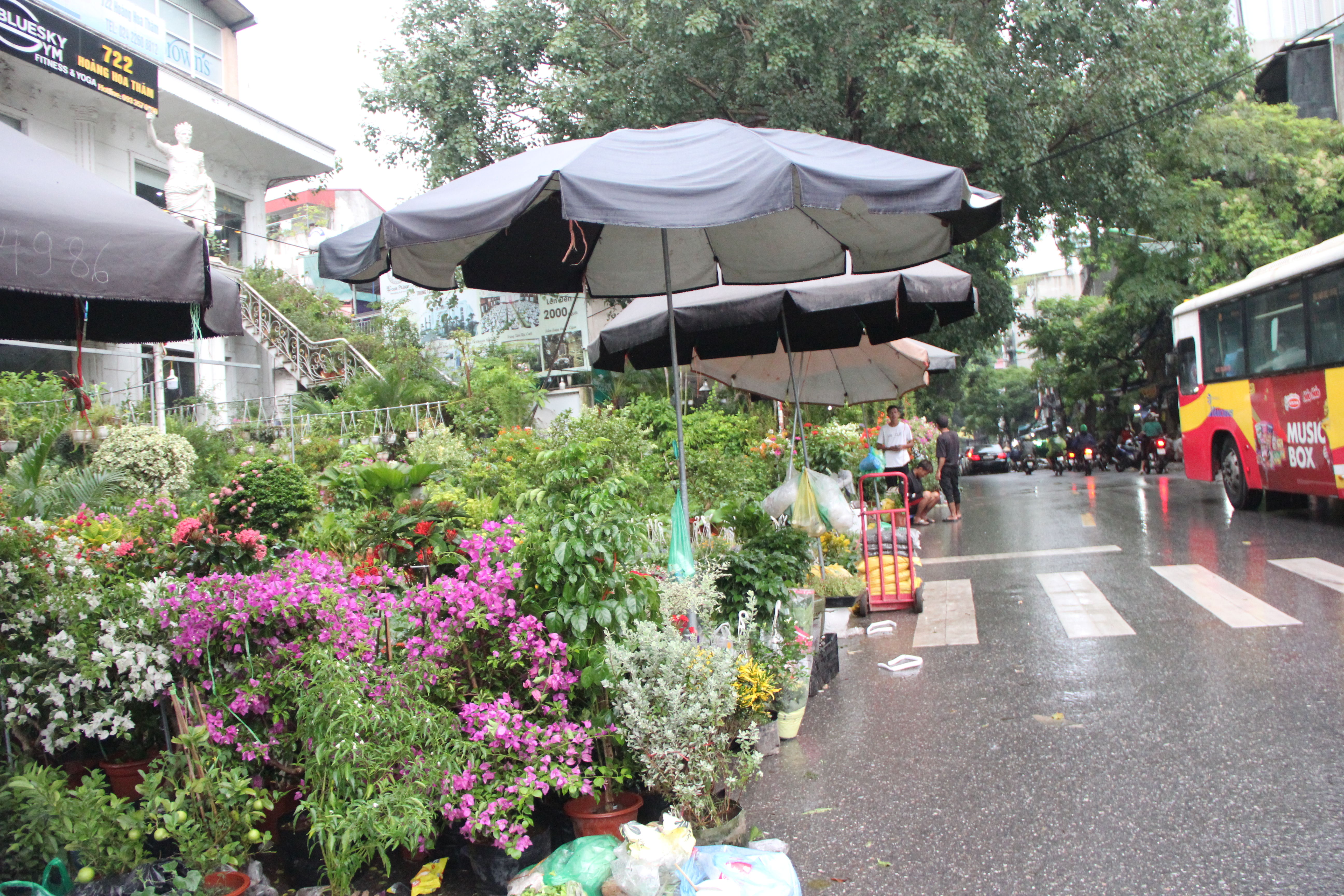 Hà Nội: Vỉa hè đường Hoàng Hoa Thám bị chiếm dụng để bày bán cây cảnh, gốm sứ-6