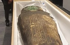Ai Cập thu hồi nắp quan tài cổ bằng gỗ bị buôn lậu sang Mỹ-cover-img