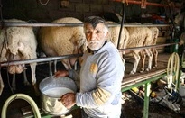 Lạm phát đe dọa nông nghiệp Hy Lạp-cover-img
