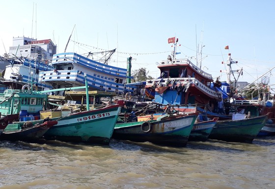 Huyện Ngọc Hiển (tỉnh Cà Mau): Tàu cá mua 1.000 lít dầu trở lên phải thông báo trước 2 ngày-1