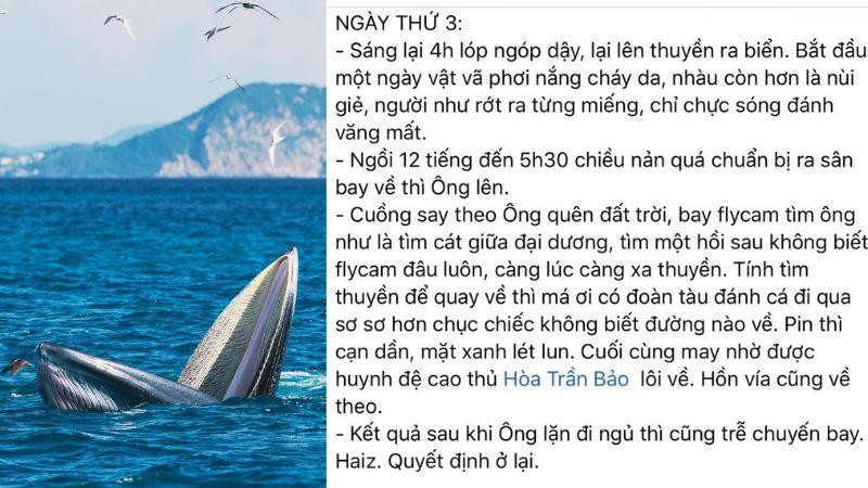 May mắn hơn nữ luật sư Woo Young Woo, travel blogger Hải An thành công săn ảnh cá voi ở biển Đề Gi-9