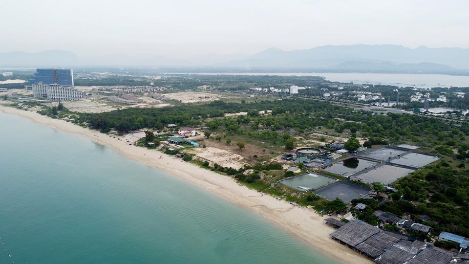 Khánh Hòa: Ảnh kinh hãi trại nuôi tôm xả nước thải ra biển đen ngòm-2