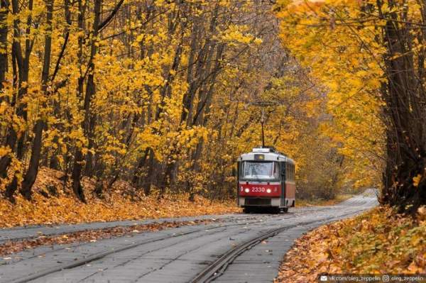 Top 5 địa điểm đẹp nhất để đi dạo ở Moscow (Nga) vào mùa thu-4