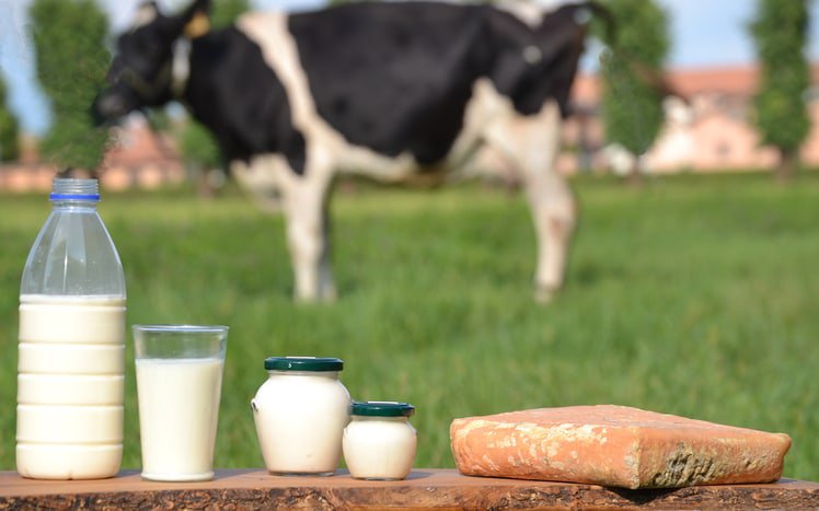 Sữa bò và sữa đậu nàng: Đặt lên bàn cân so sánh xem thử loại nào tốt hơn?-3