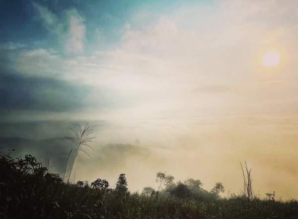 Giới trẻ truy lùng điểm “thưởng mây ngắm cảnh” đầy mộng mơ ở Bảo Lộc-15