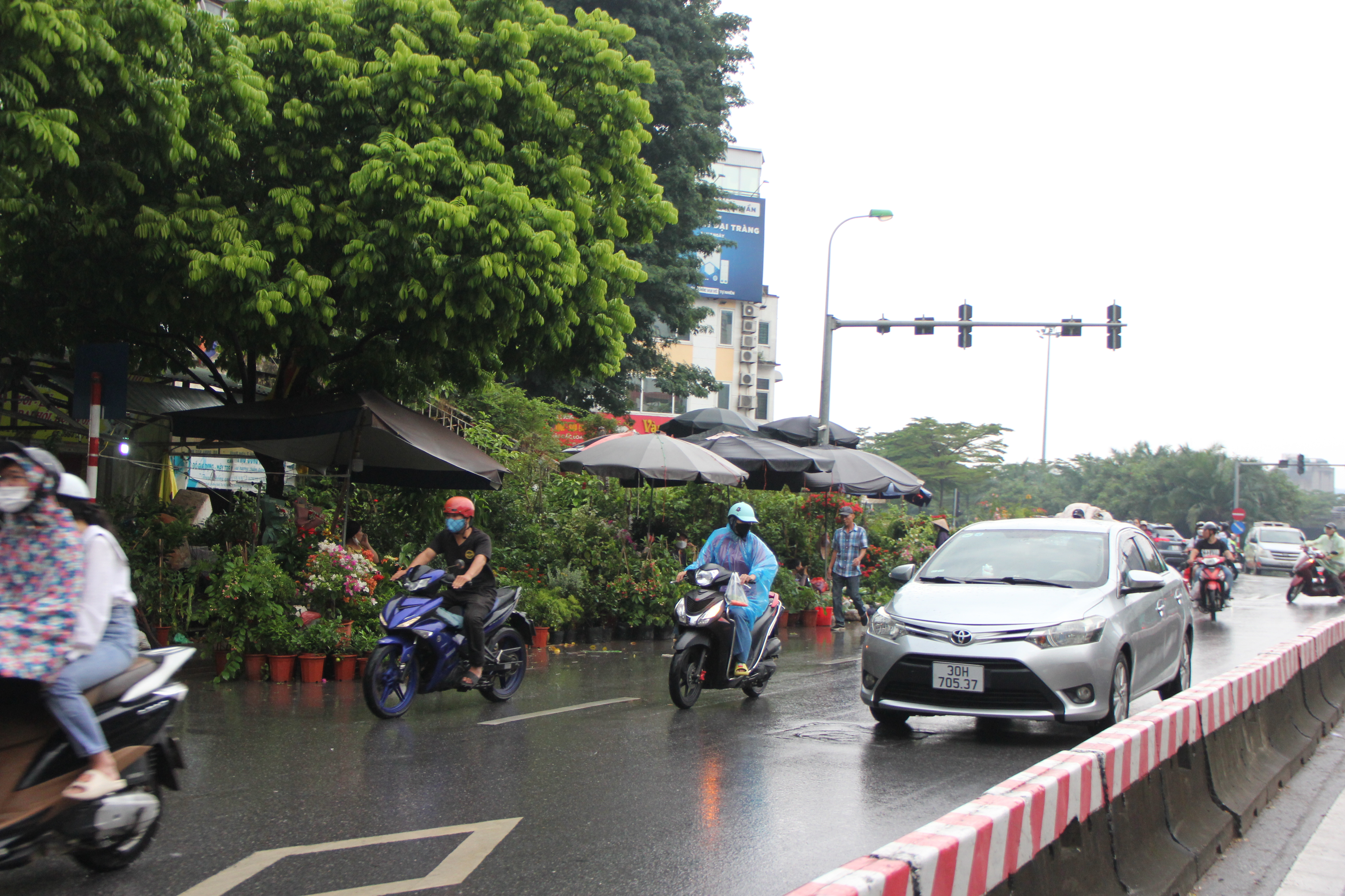 Hà Nội: Vỉa hè đường Hoàng Hoa Thám bị chiếm dụng để bày bán cây cảnh, gốm sứ-3