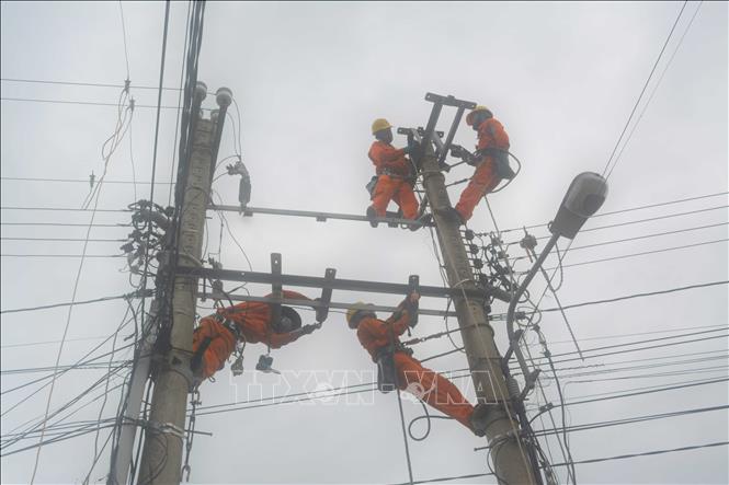 Lưới điện khu vực tỉnh Bình Định an toàn sau bão Noru-cover-img