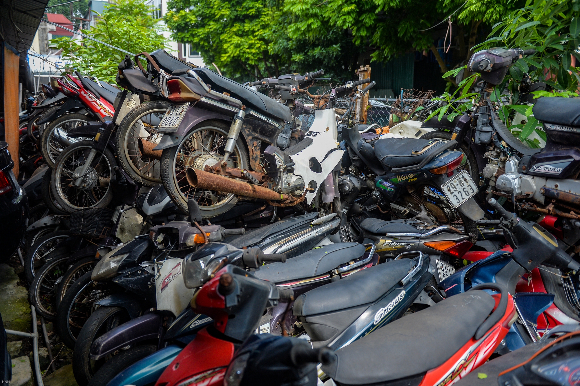 Hà Nội: Hàng nghìn chiếc xe máy vi phạm giao thông chồng chất lên nhau, cỏ mọc um tùm-5