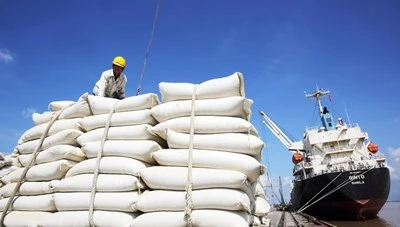 Rộng cửa xuất khẩu gạo-cover-img