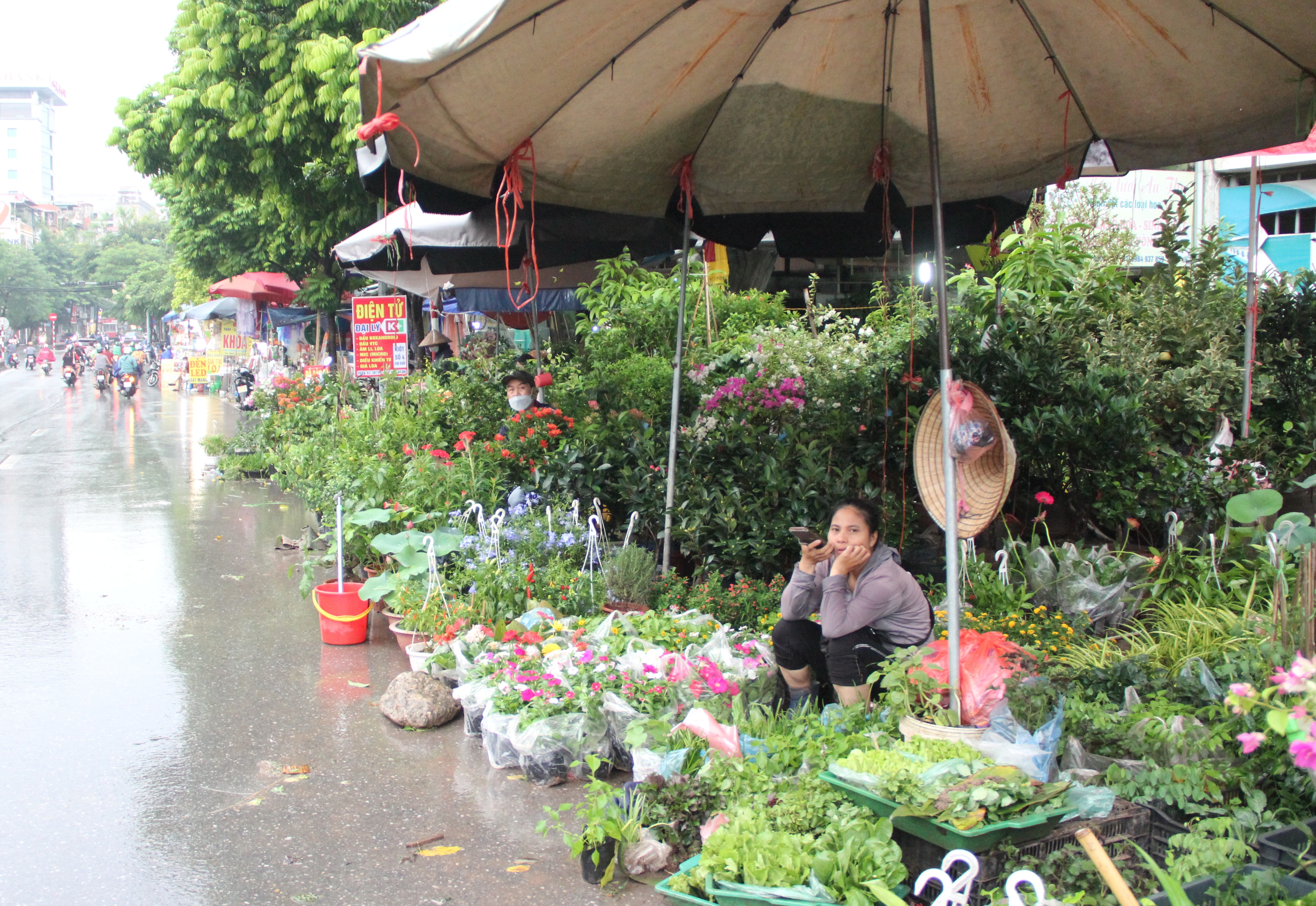 Hà Nội: Vỉa hè đường Hoàng Hoa Thám bị chiếm dụng để bày bán cây cảnh, gốm sứ-19