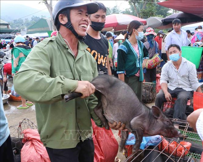 Du lịch Việt Nam: Độc đáo chợ phiên San Thàng, Lai Châu-7