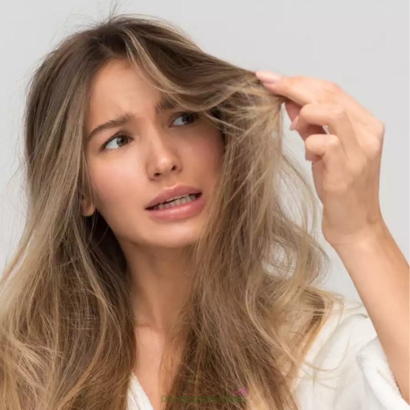 Các tiêu chí "vàng" giúp bạn lựa chọn dầu gội đầu phù hợp ngăn khả năng rụng tóc-1