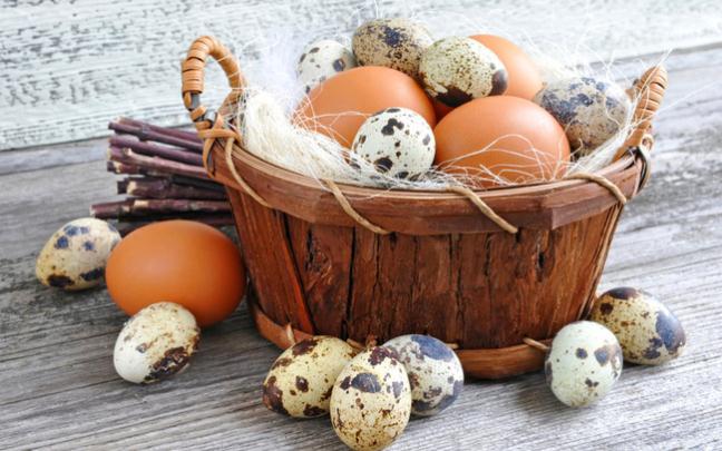Trứng gà, trứng vịt, trứng ngỗng hay trứng cút, loại trứng nào bổ dưỡng hơn? 2 loại trứng này ăn càng ít càng tốt-1