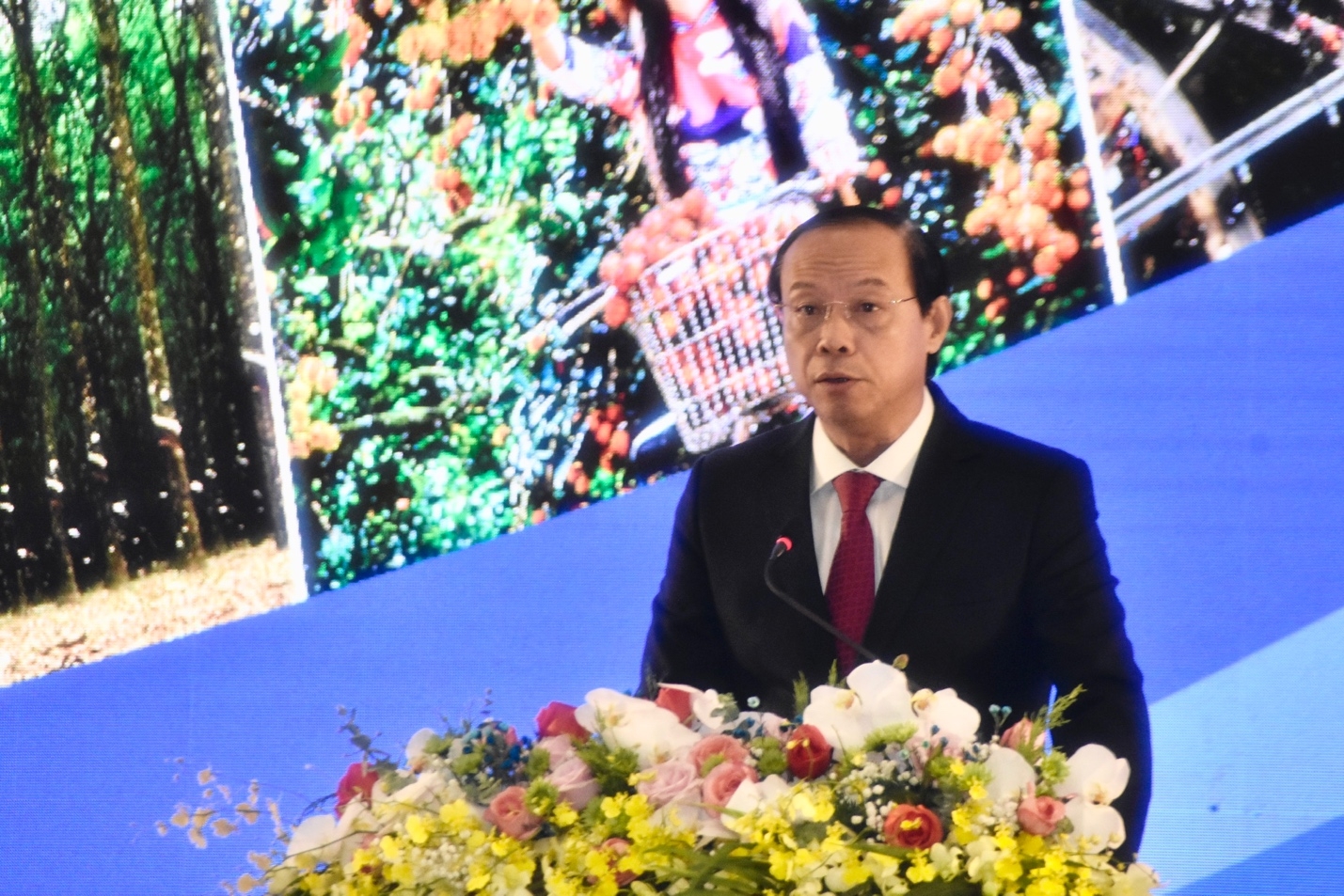 Phát triển tỉnh Bà Rịa - Vũng Tàu thành trung tâm kinh tế biển quốc gia-3
