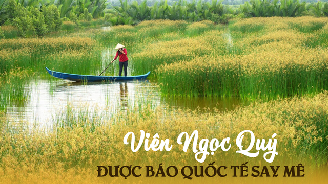 1 nơi ở Việt Nam được chuyên trang du lịch quốc tế gọi là "Viên ngọc quý": Niềm mơ ước của người mê sinh thái-1