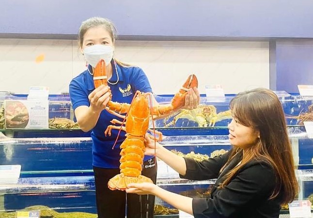 Con tôm hùm vàng cam quý hiếm của Canada được một công ty trao tặng Viện Hải dương học Nha Trang-1