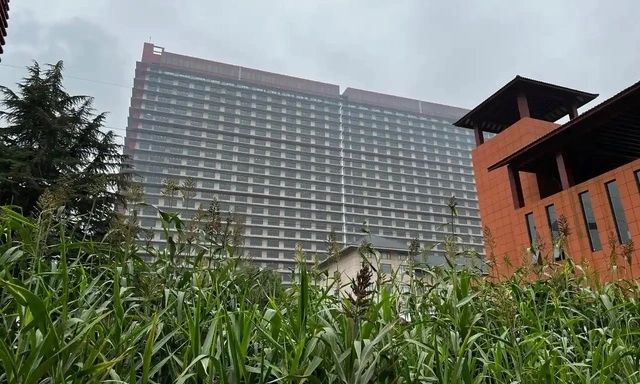 Chung cư cho lợn cao 26 tầng ở Trung Quốc-cover-img