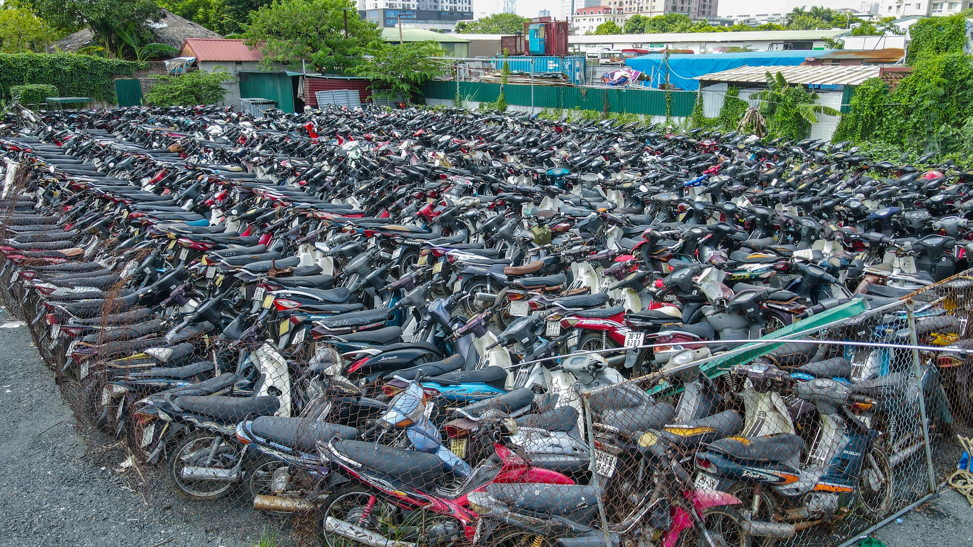 Hà Nội: Hàng nghìn chiếc xe máy vi phạm giao thông chồng chất lên nhau, cỏ mọc um tùm-2