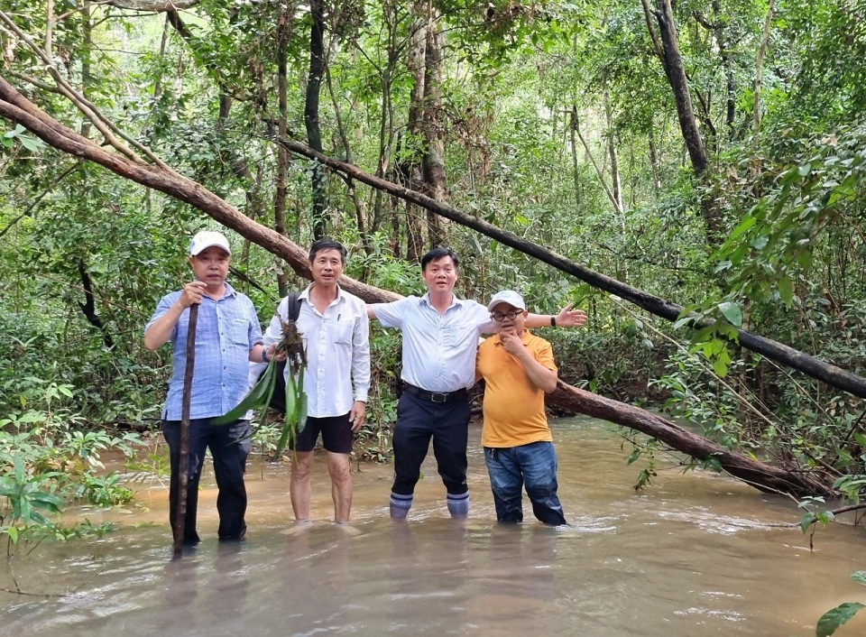Khám phá rừng Mã Đà - lá phổi xanh của miền Đông Nam Bộ-2
