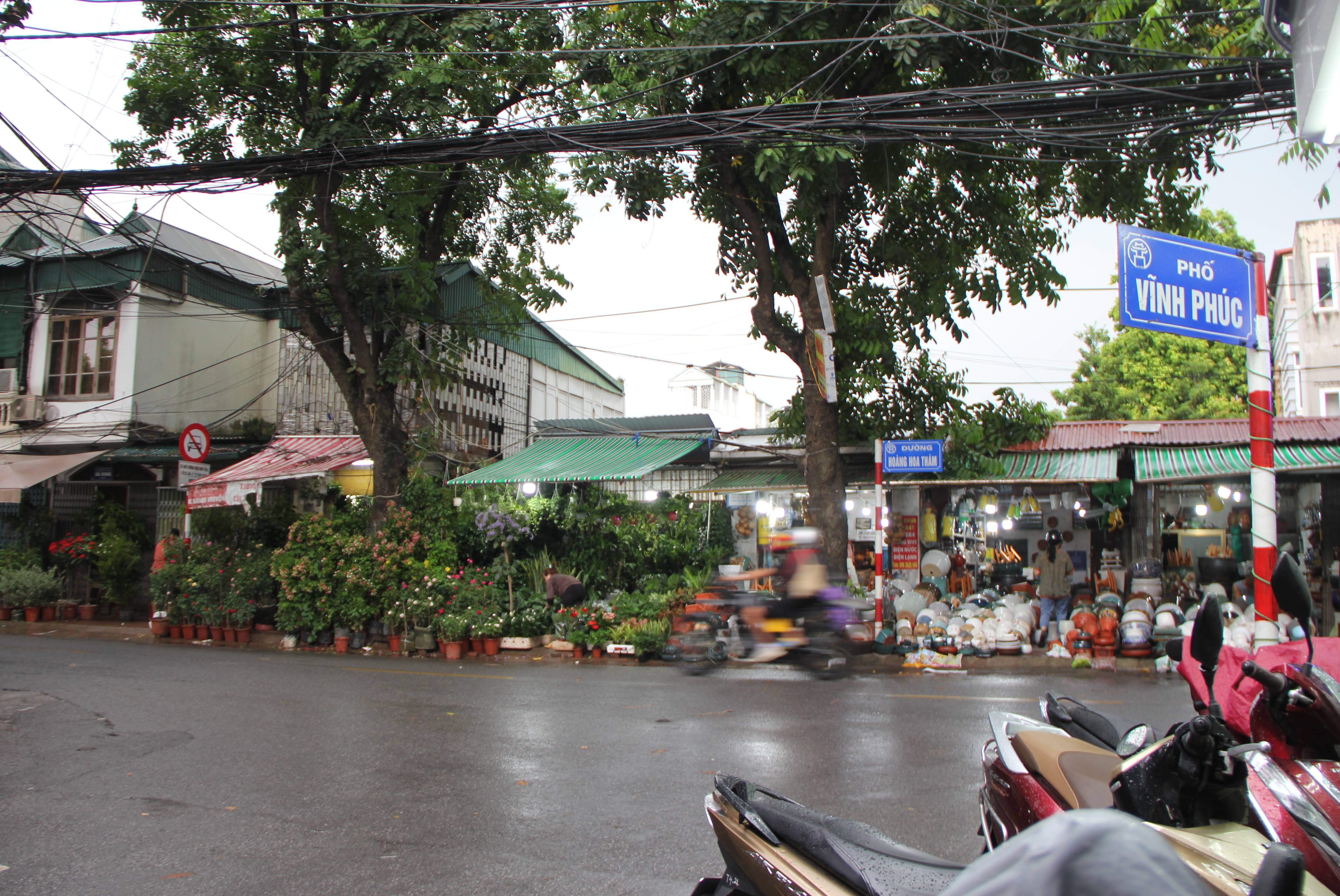 Hà Nội: Vỉa hè đường Hoàng Hoa Thám bị chiếm dụng để bày bán cây cảnh, gốm sứ-18