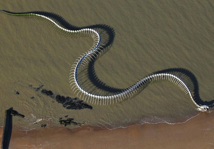 Bộ xương rắn khổng lồ nổi bật giữa bãi biển hút khách du lịch-5
