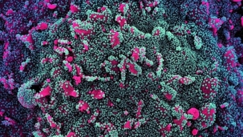 Xuất hiện nhiều biến chủng virus SARS-CoV-2, Bộ Y tế gửi thông điệp phòng dịch mới-4