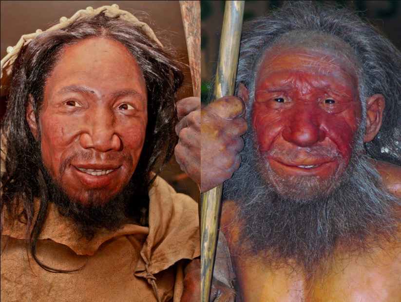 Vì sao người Neanderthal huyền thoại đột ngột biến mất khỏi Trái đất?-4