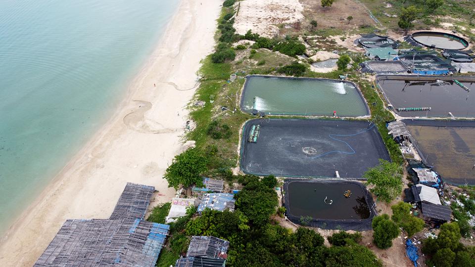 Khánh Hòa: Ảnh kinh hãi trại nuôi tôm xả nước thải ra biển đen ngòm-9