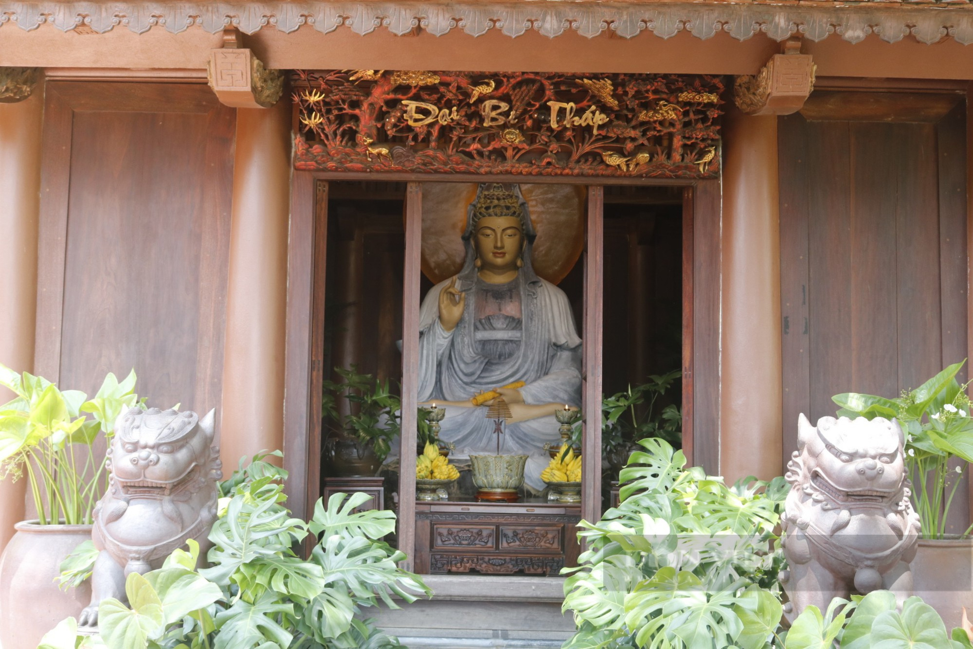 Đẹp quên lối về ở Địa Tạng Phi Lai - ngôi cổ tự với nét đẹp yên bình tại Hà Nam-4