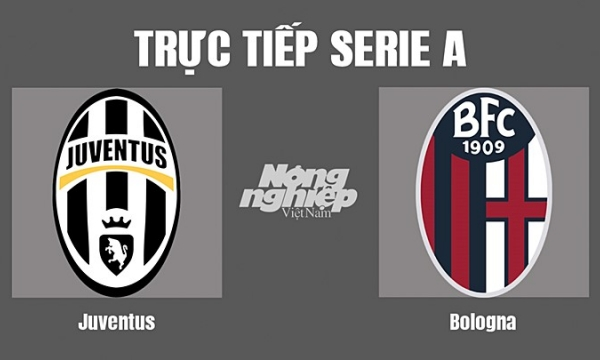 Trực tiếp Juventus vs Bologna trên On Sports+ hôm nay 3/10-cover-img