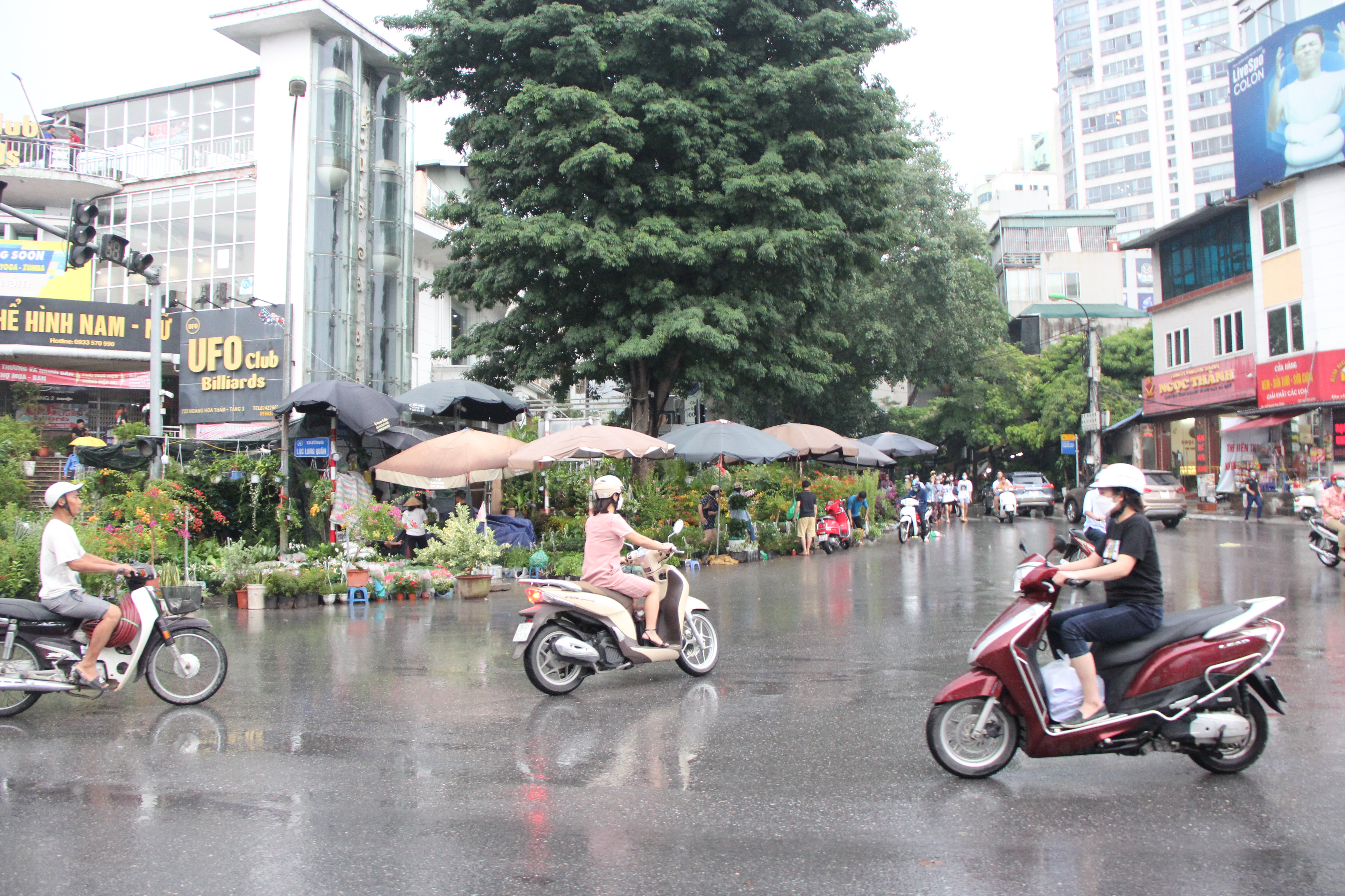 Hà Nội: Vỉa hè đường Hoàng Hoa Thám bị chiếm dụng để bày bán cây cảnh, gốm sứ-cover-img