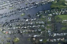 Bão Ian gây ngập lụt nghiêm trọng nhất trong 500 năm tại bang Florida, Mỹ-cover-img