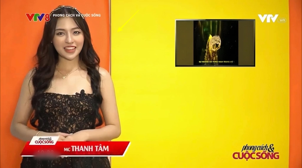 Trần Thanh Tâm không còn bị "dìm" nhan sắc qua camera nhà đài-2