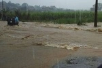 Thanh Hóa: Ra thăm đồng lúc mưa lũ, một người dân bị nước cuốn trôi-cover-img