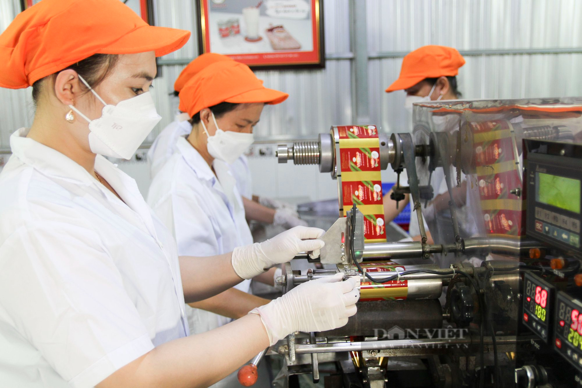 Doanh nghiệp đầu tiên chế biến sâu trái dừa sáp đặc sản Trà Vinh-2
