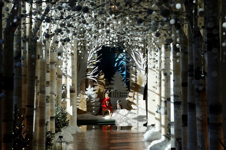 Phong cách trang trí Giáng sinh bắt mắt tại Nhà Trắng-4