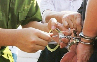 Bắt giam thêm 3 người liên quan vụ “chuyến bay giải cứu”-cover-img