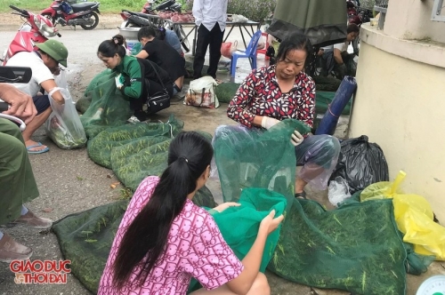 Độc đáo chợ bán đặc sản 'tôm bay' ở Nghệ An-4