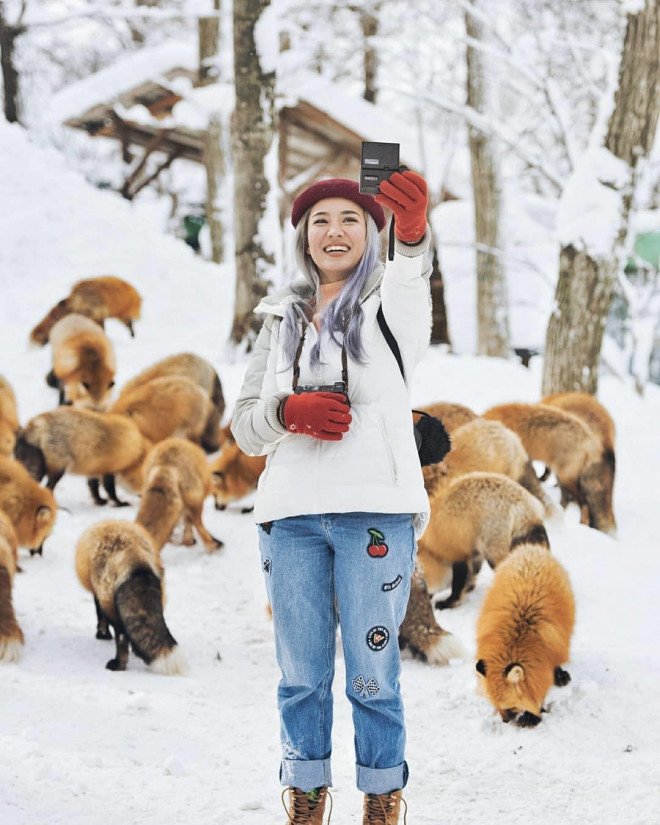 Thích thú với ngôi làng có hàng trăm con cáo béo ở Nhật Bản-9