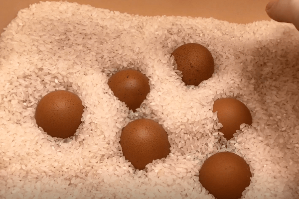 Đừng cho trứng vào tủ lạnh: Đây là cách bảo quản trứng cả nửa năm vẫn giữ nguyên chất bổ-3