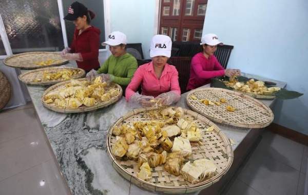 Có một nơi ở Quảng Nam, đến mùa mít chín, ăn không hết, bán lại rẻ, người dân phơi khô làm đặc sản-6