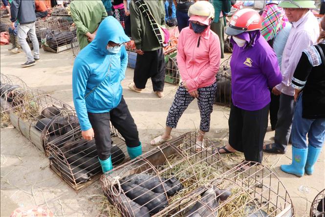 Du lịch Việt Nam: Độc đáo chợ phiên San Thàng, Lai Châu-3
