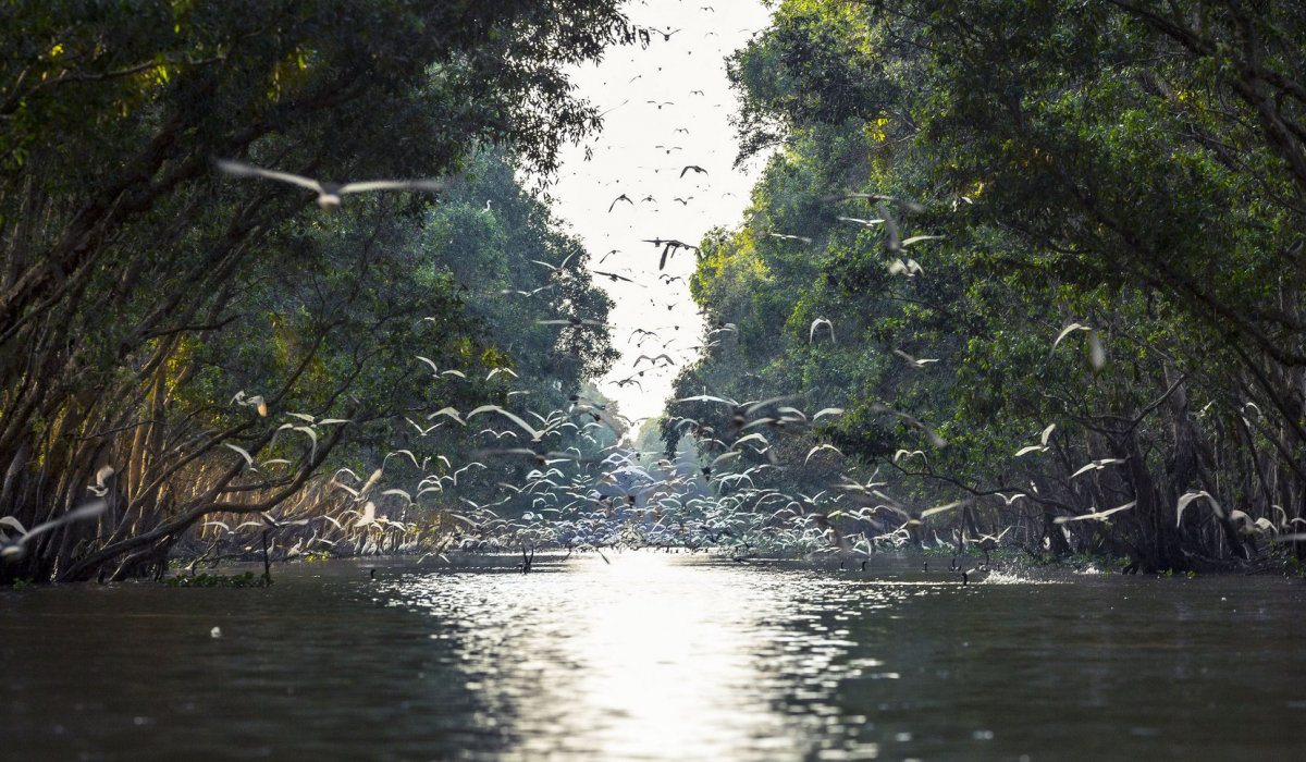 Phát triển hệ sinh thái Vườn quốc gia Tràm Chim gắn với du lịch-1