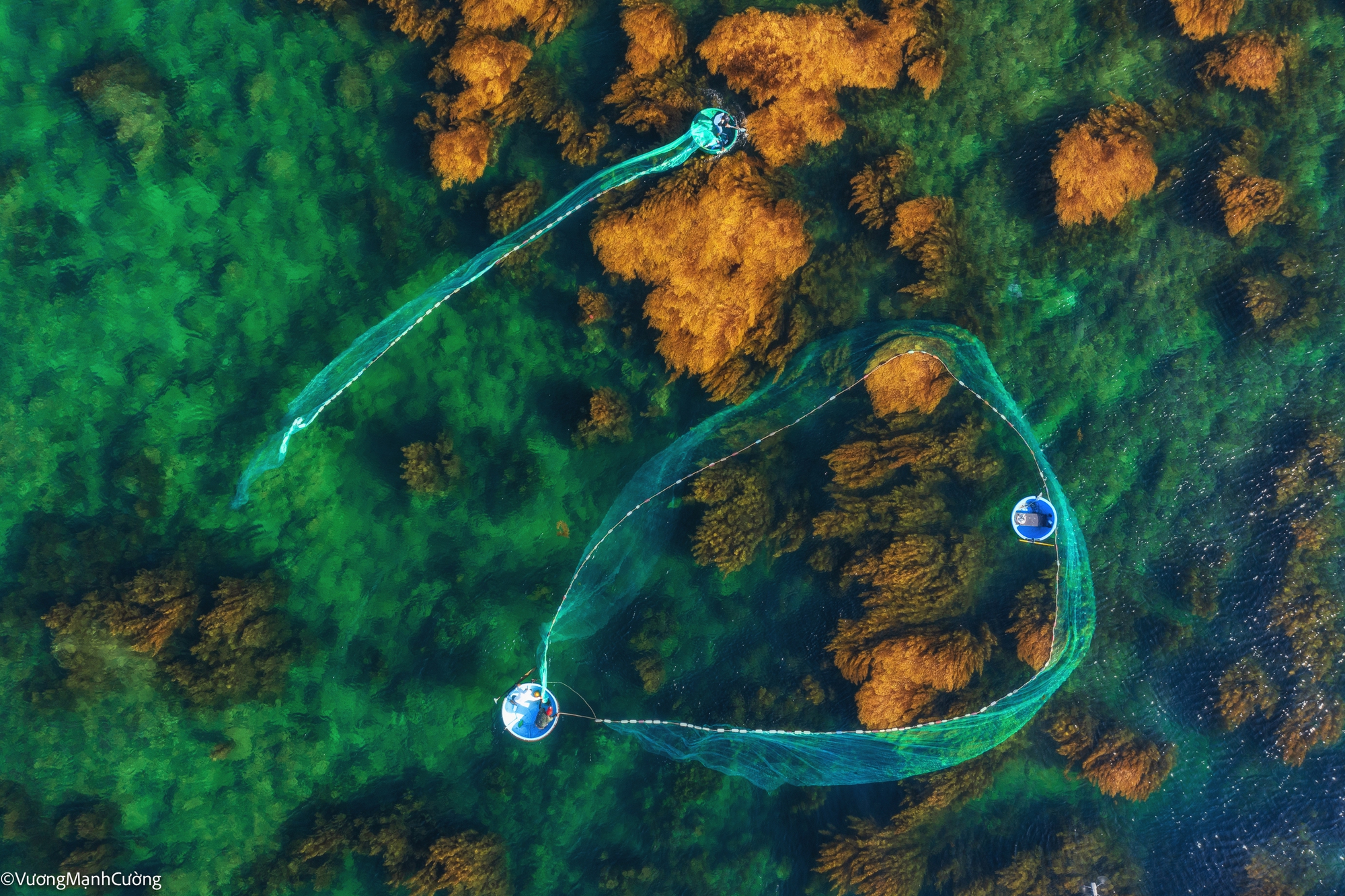 Hình ảnh ngư dân tung lưới đánh cá đầy "ảo diệu" ở Bình Định khiến ai cũng trầm trồ về cảnh sắc Việt Nam-10
