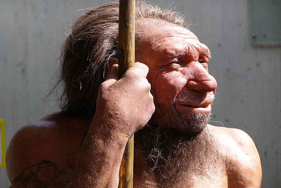 Vì sao người Neanderthal huyền thoại đột ngột biến mất khỏi Trái đất?-6